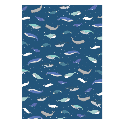 C4308 A4 花紋紙-鯨魚(25入)