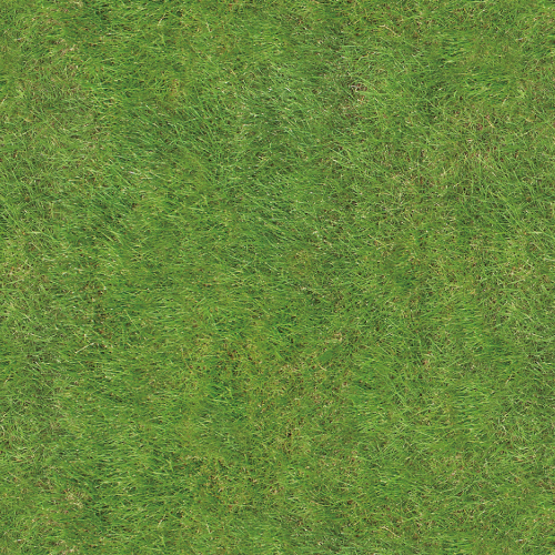 C4198 A4花紋紙-草皮 (25入)