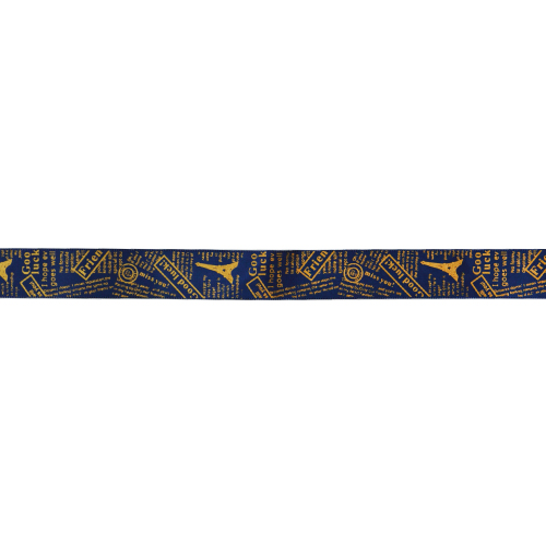 D4111A~E  巴黎風格-螺紋緞帶(寬2.5cm)
